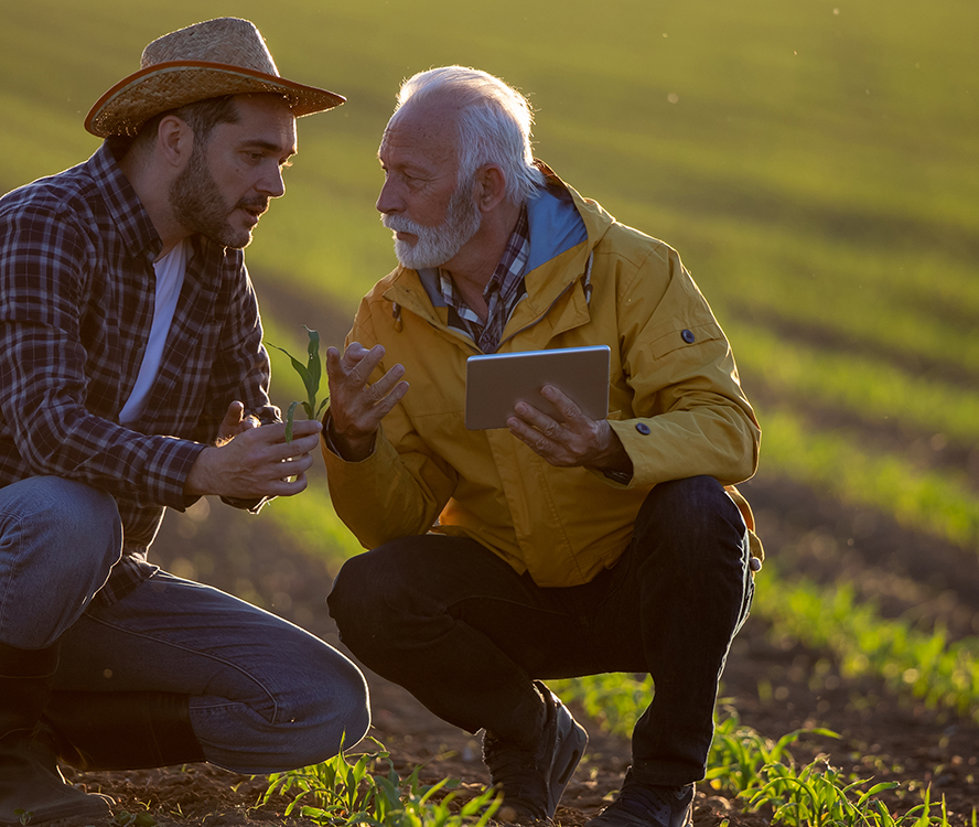 two_men_in_field